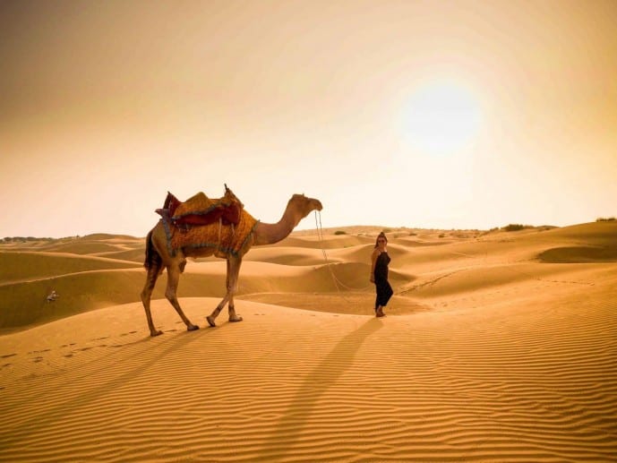 Banner Image 1