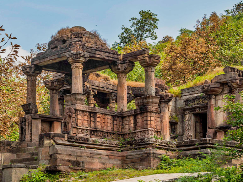Tour package - Polo Forest One Day in Gujarat, India