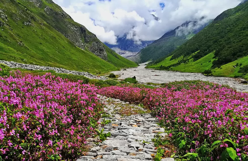 Valley of Flowers & Hemkund Sahib