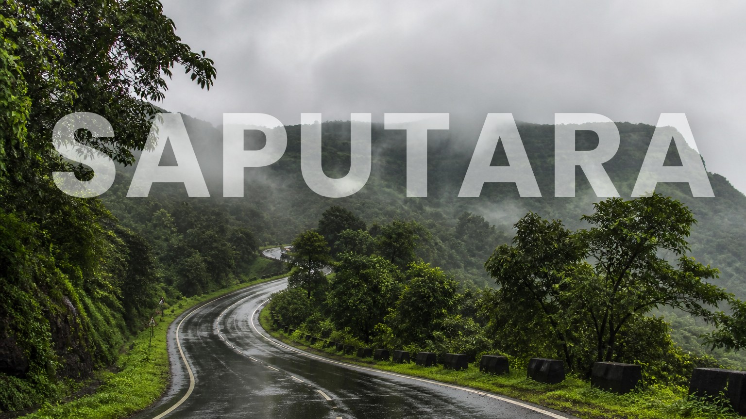 Banner Image 1